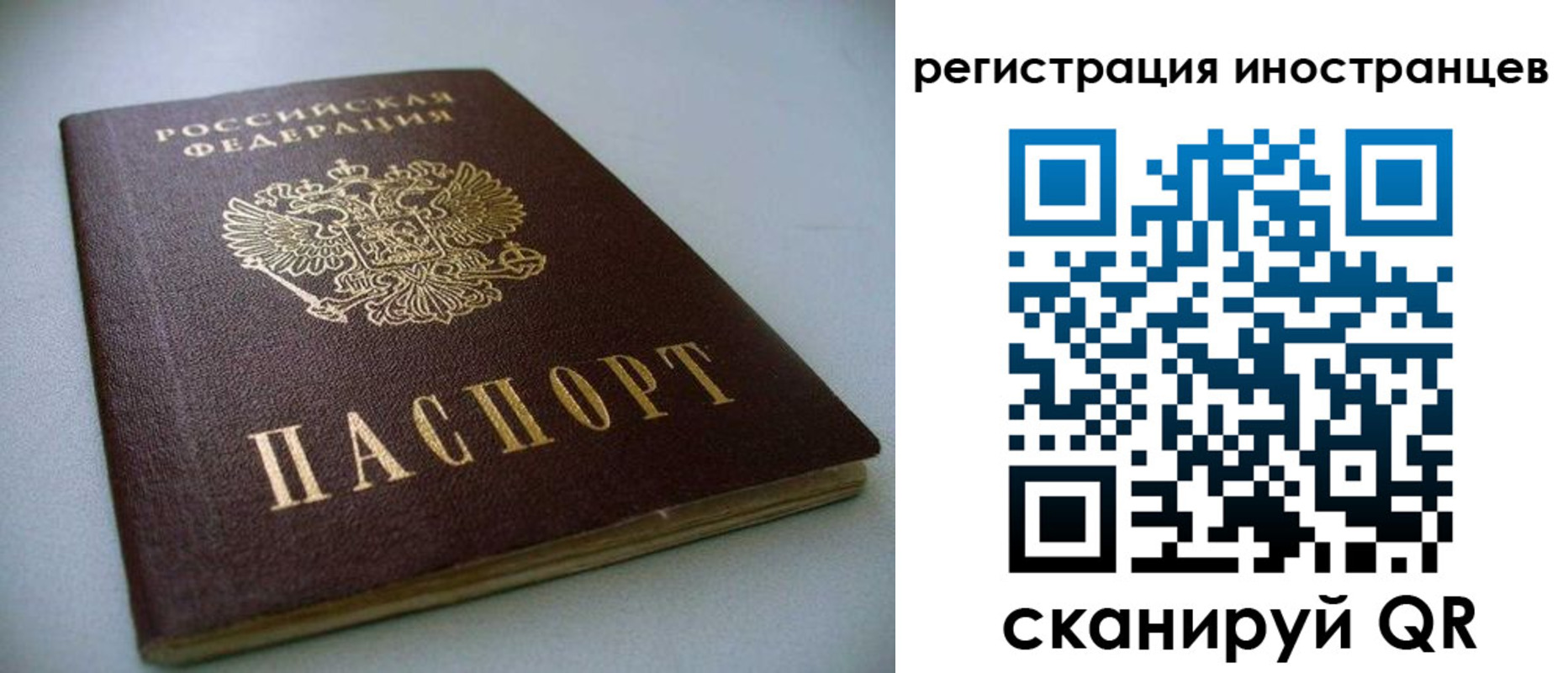 пропишу в квартире в Сланцах